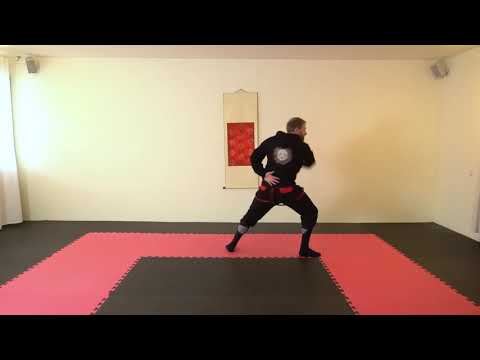 Sword and Dagger Solo Form Giovanni dall’Agocchie Atacker