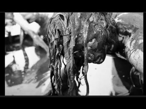TOADEATER - Let the Darkness Swallow You (OFFICIAL VIDEO) // BLACK METAL
