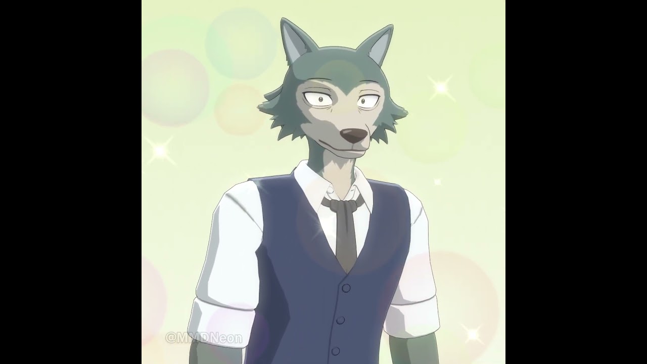 HBD Legoshi! | Beastars Animation
