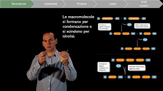Le Biomolecole e le Macromolecole biologiche