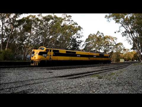 Southern Shorthaul Railroad Visited Our Great State Again! Vintage Streamliner GM Class Locos 2/5/25