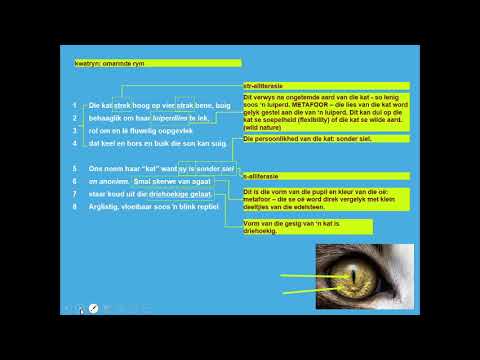 Afrikaans Graad 12_Huiskat_Addisionele notas