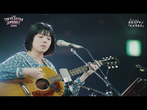 Kaneko Ayano - Emerald (Acoustic) / カネコアヤノ - エメラルド - LIVE 2024