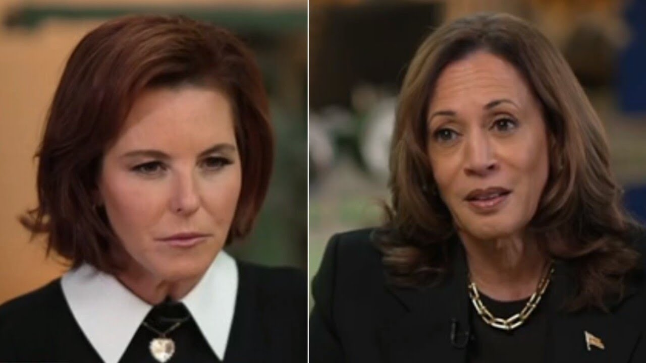 ‘No coincidence’: MSNBC journalist under fire over ‘softball’ Kamala interview