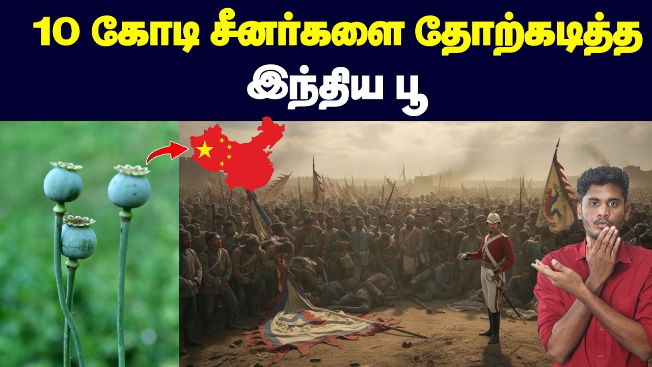 😡🤯80,000 இந்தியர்களின் மரணத்திற்கும் காரணமான செடி! | How a s