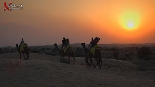 Jodhpur 4K  Mandore and Thar Desert
