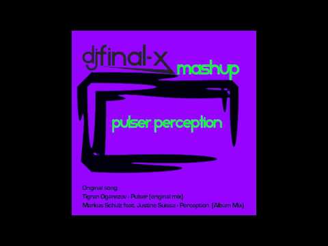 Pulser Perception Final-X mashup