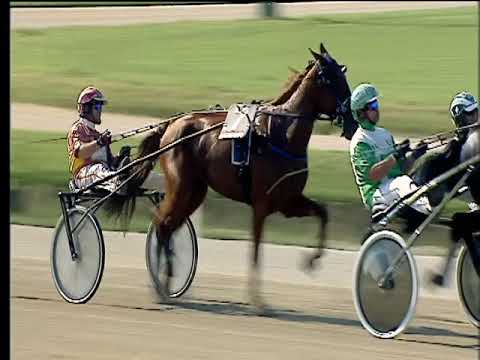 Trotto 25/05/2018 - 3ª corsa