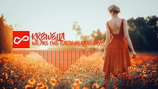Krewella - We Are One (Desembra Remix) | [Infinite Music]