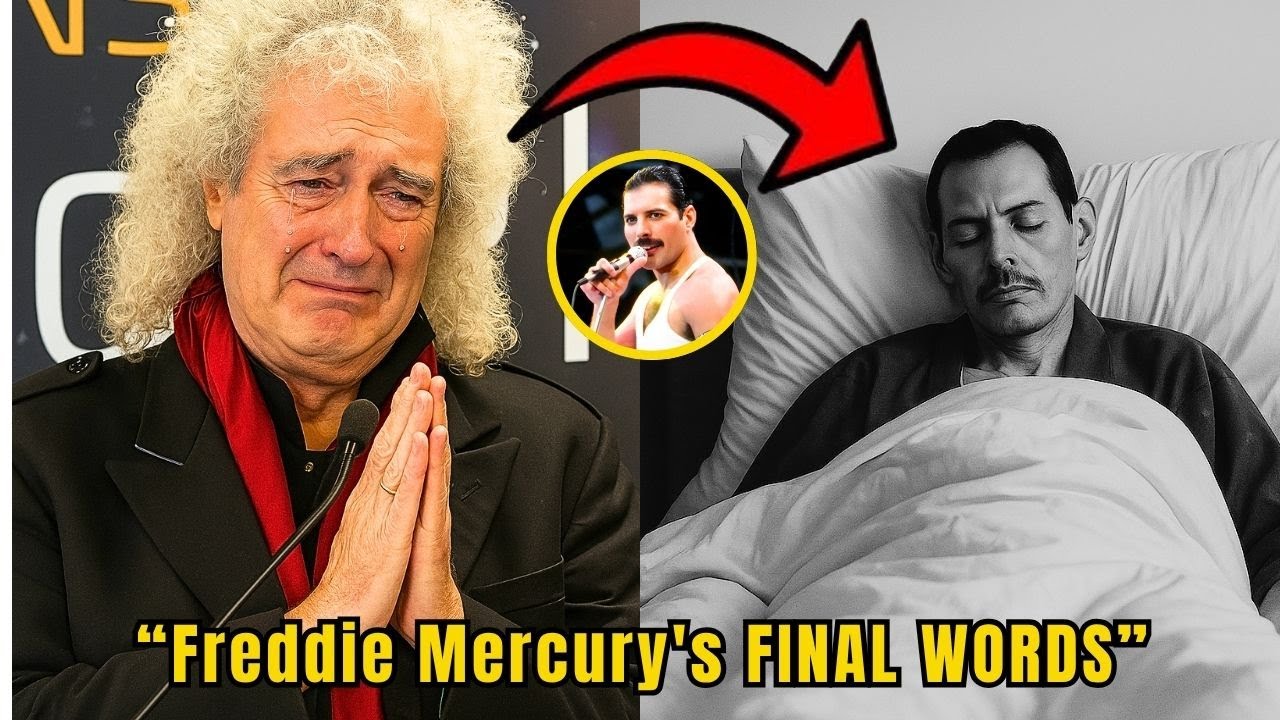 YouTube Thumbnail Downloader FULL HQ IMAGE