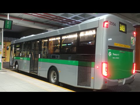 [Replacement Express] Transperth Bus Rt No. 949 (TP2556) Elizabeth Quay BS to Aubin Grove Station