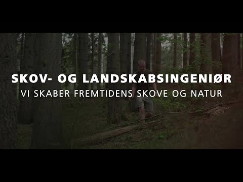 Skov- og landskabsingeniør – vi skaber fremtidens skove og natur