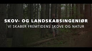 Skov- og landskabsingeniør – vi skaber fremtidens skove og natur
