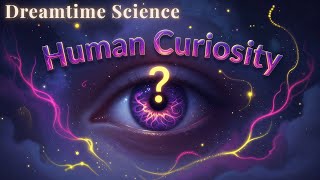 How Curiosity Shapes the Mind