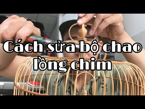 Cách chỉnh lại bộ chao lồng chim bị méo