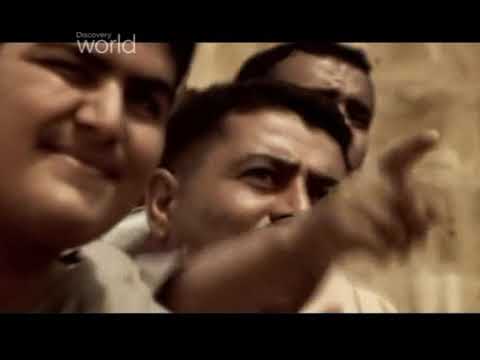 Zwierzęcy gladiatorzy