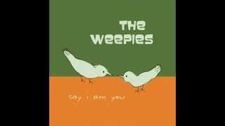 The Weepies - Stars