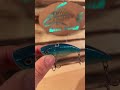 Video Thumbnail for Best Walleye Crank Bait Lure Color RATTLE Bait