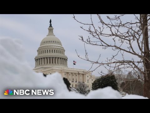 Senate vote to advance government funding bill fails amid calls for ICE reforms