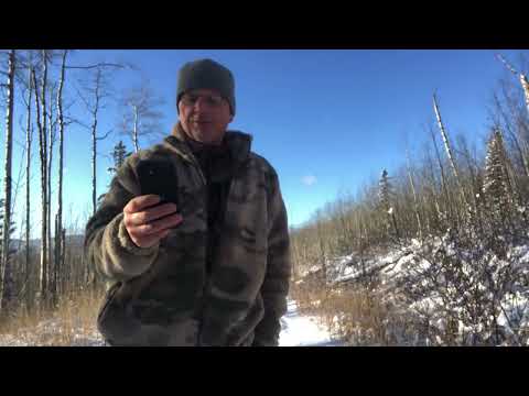 Terrified In A Tent, What A Nightmare