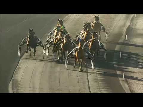 Prix De Belgique Gr2 2012 - Prix d’Amerique Q6 - Royal Dream & Jean-Philippe Dubois 1.13,3 2850m