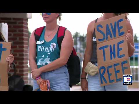 Endangered Species Act protections face rollback as ...
