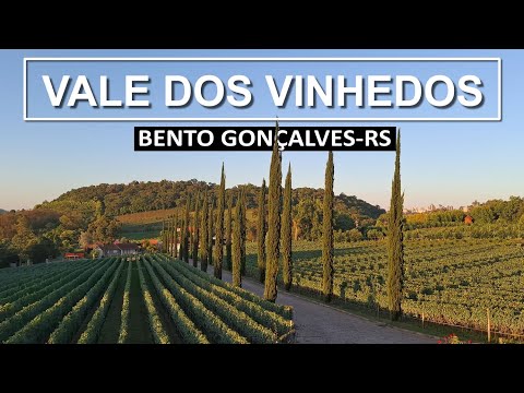 Vale dos Vinhedos - Serra Gaúcha - Cinematic Video
