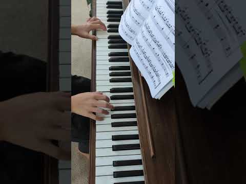 Opus 63 – No 11 – Chasing Butterflies by Streabbog