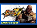 Street Fighter IV Sagat S Story Cutscenes Profile Ending