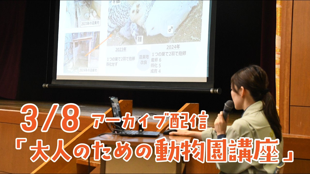 【アーカイブ】第46回大人のための動物園講座（2026年3月8日）