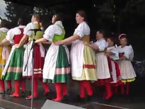 ŠUMAVÁNEK z Klatov č.3  / Polabská Vonička 2016 Nymburk /č.14