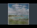 Smiling Bill McCall - Johnny Cash - Topic Smiling Bill McCall