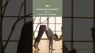 Handstand Push-Up demonstration thumbnail