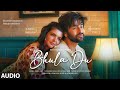 Bhula Du (Audio): Payal Dev, Stebin Ben | Ihana Dhillon, Shashank Vyas | Sayeed Quadri | Bhushan K