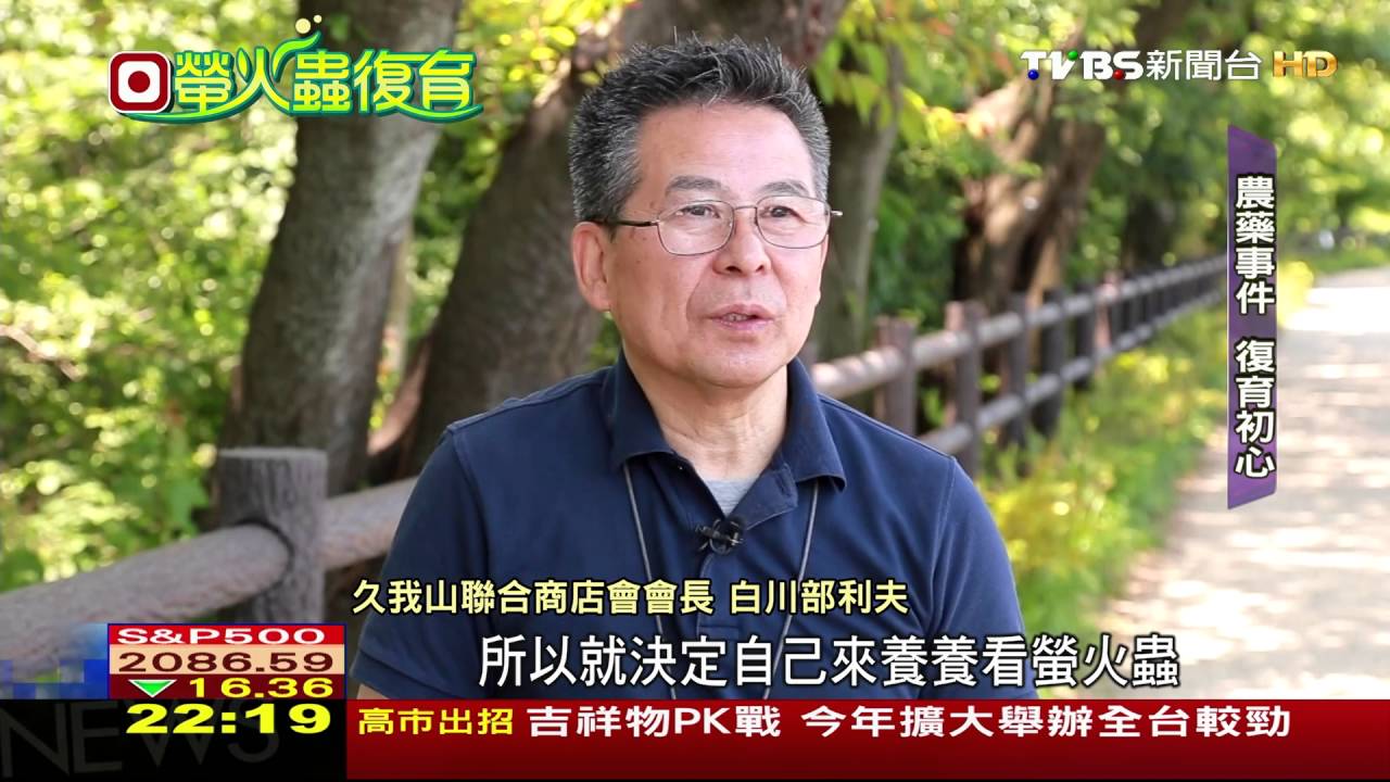 護螢!城裡的光閃動 東京人拚復育