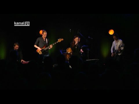 Kanal 21 Fernsehkonzert Catfish - Rifffish