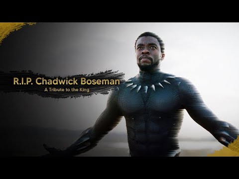 R.I.P. Chadwick Boseman - A Tribute to the King