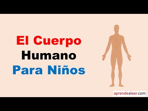 Cabeza tronco y extremidades para niños