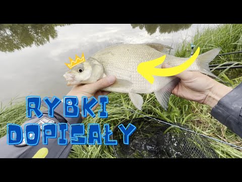 Kaszubska Ostoja | Jezioro graniczne | Spokojny urlop przy Federze