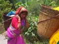 Gaddevi Kiu Puji Jati H Janee Ke Liye Yh Video Dhekhe Jai Ho Uttarakhand