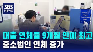 대출 연체율 9개월 만에 최고..중소법인 연체 증가 / SBS / 경제365