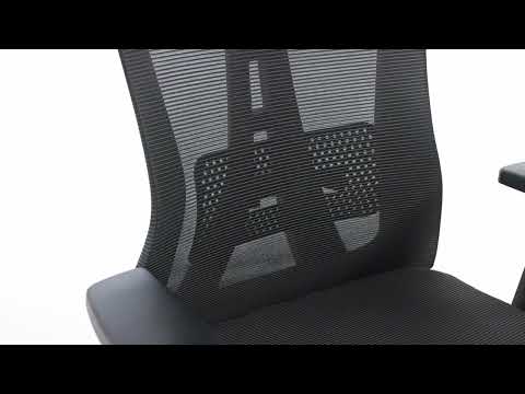 Миниатюра изображения товара Кресло офисное Evolution ErgoLine 3