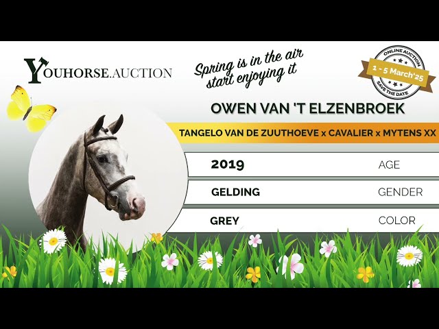Owen van ‘t Elzenbroek showvideo