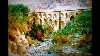 Jericho, The City Of Palm Trees And Springs.