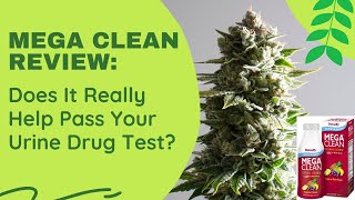 Mega Clean Detailed Review: Does It Really Help Pass Your Urine Drug Test in 2025