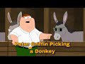 Peter Griffin Picking a Donkey - Family Guy meme template