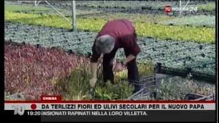 preview picture of video 'Da Terlizzi fiori ed ulivi secolari per Papa Francesco'
