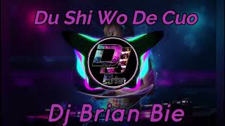 Download lagu Du Shi Wo De Cuo 都是我的错 Remix By Dj Brian... mp3