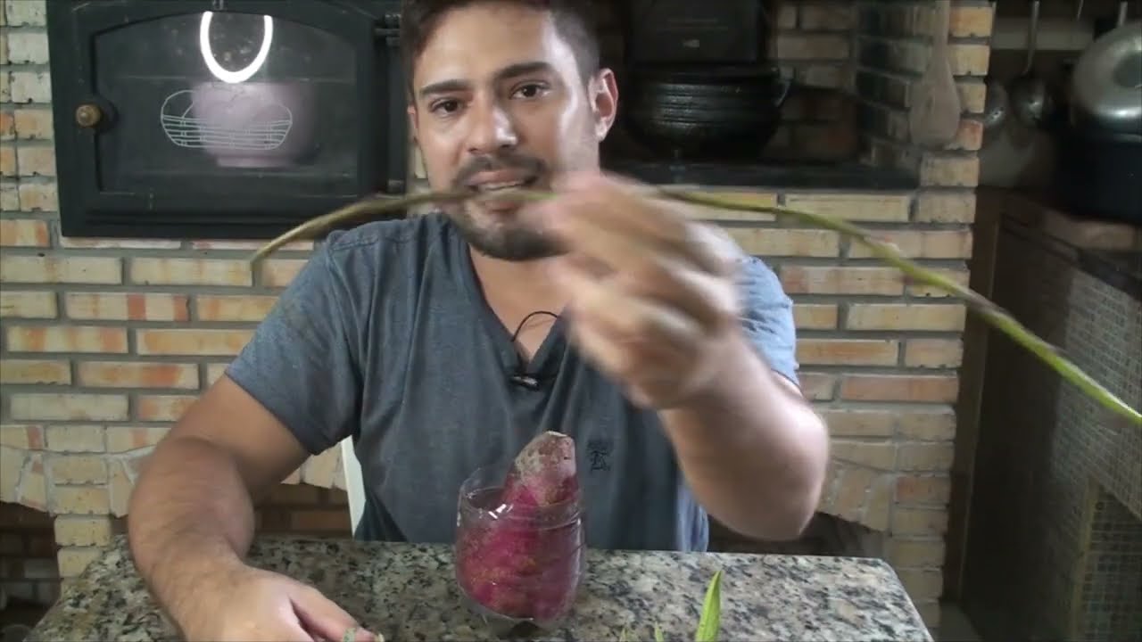 COMO PLANTAR BATATA DOCE PARA AJUDAR PESSOAS