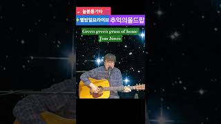 Green green grass of home (Tom Jones)#추억의#올드팝#늘봄통기타